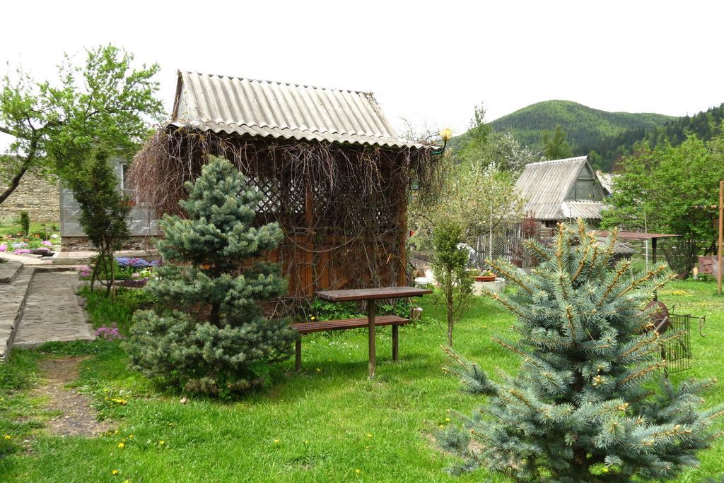 Bilyy Kamin Guest House Tatariv Eksteriør billede